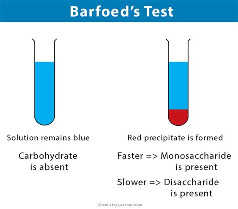 principle of barfoed test|Barfoed's Test.